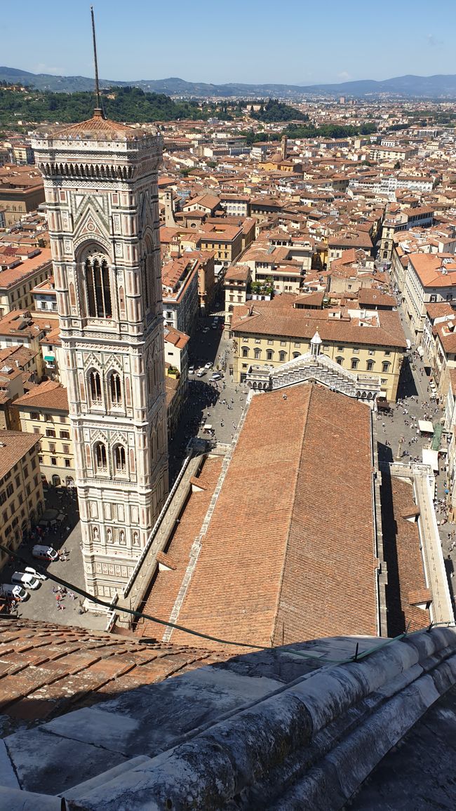 Cathedral and Campanile