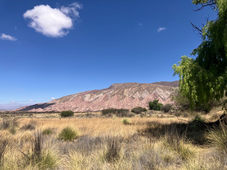 Southeast of Salta