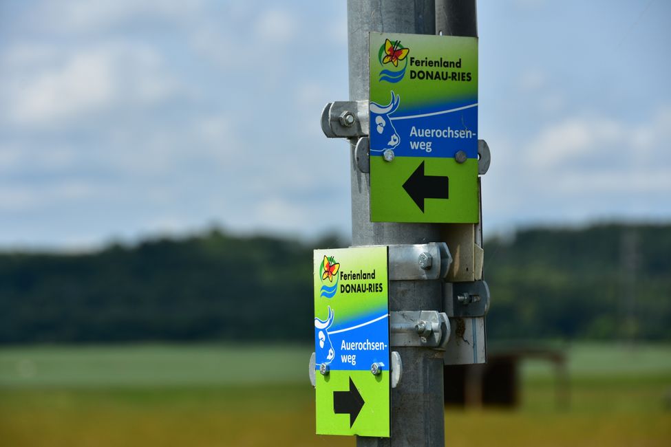 * * * S E C H T A S A F A R I - der Auerochsenweg
bei Bopfingen * * *