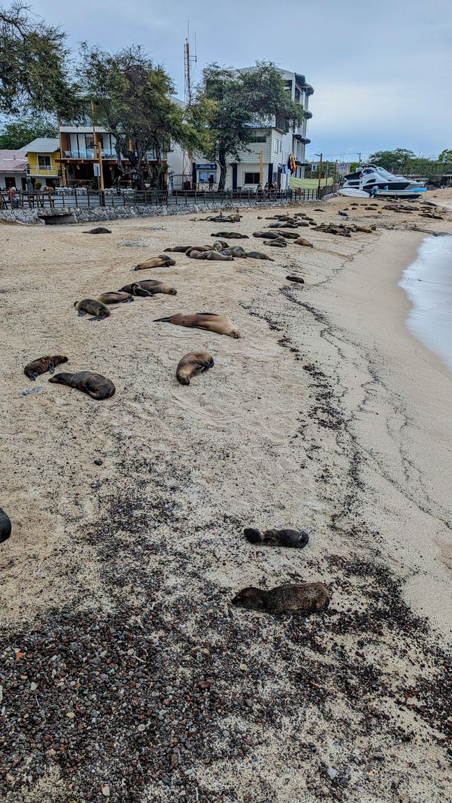 Galapagos Islands