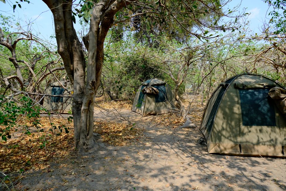 Delta del Okavango 🇧🇼