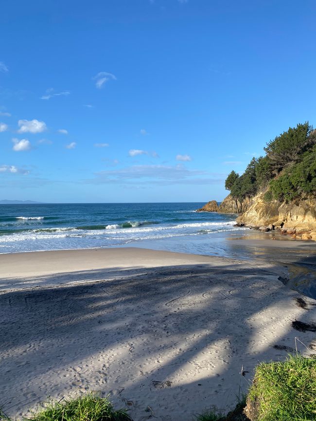 Coromandel loop