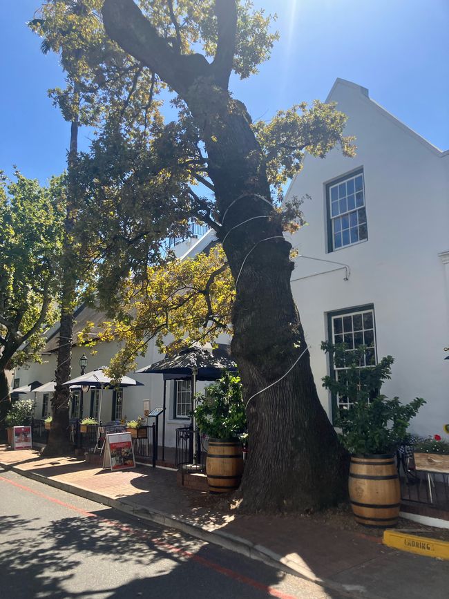 Kap-Halbinsel und Stellenbosch