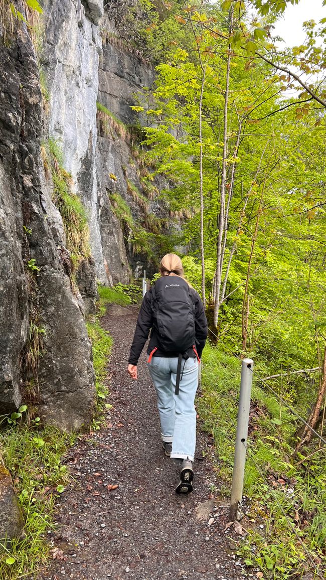 Wanderung zu den Giessbachfällen