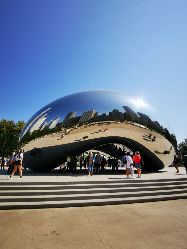 The Bean