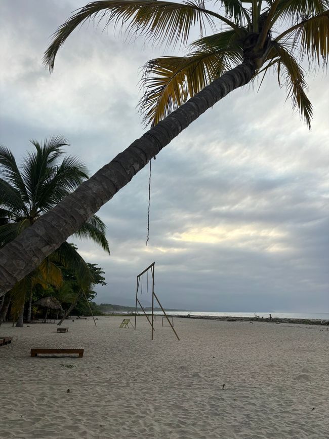 Settimana 16: Santa Marta
