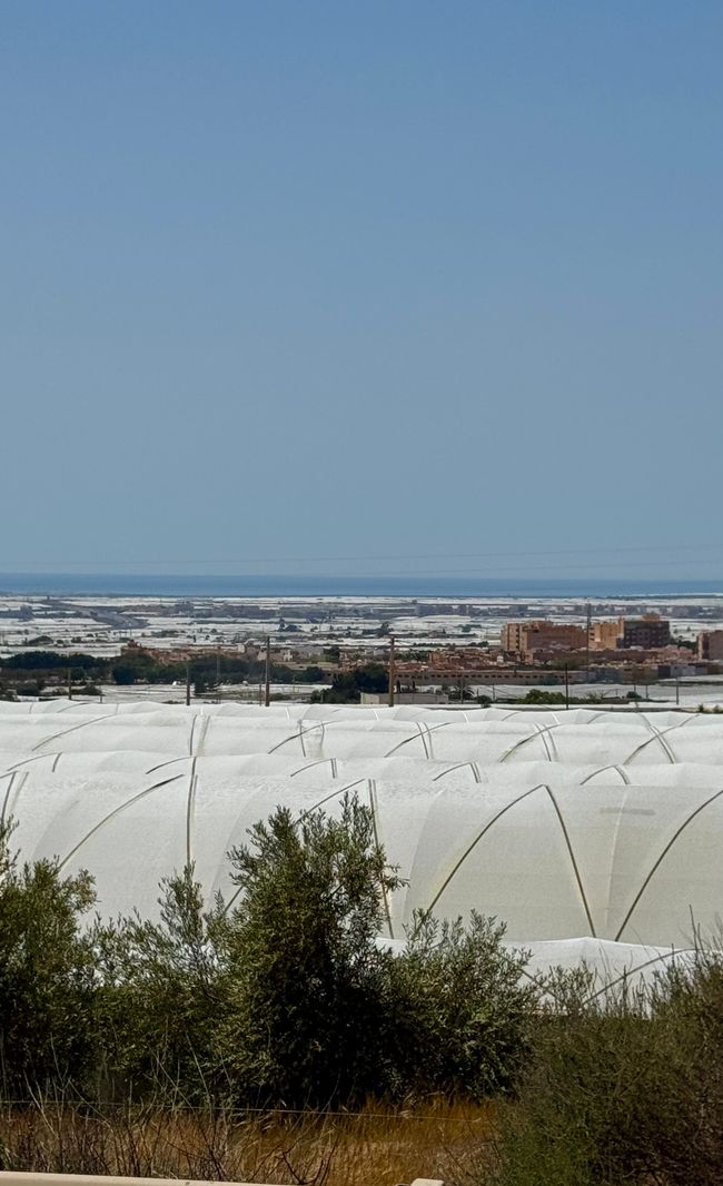 Gemüsegarten Europas 