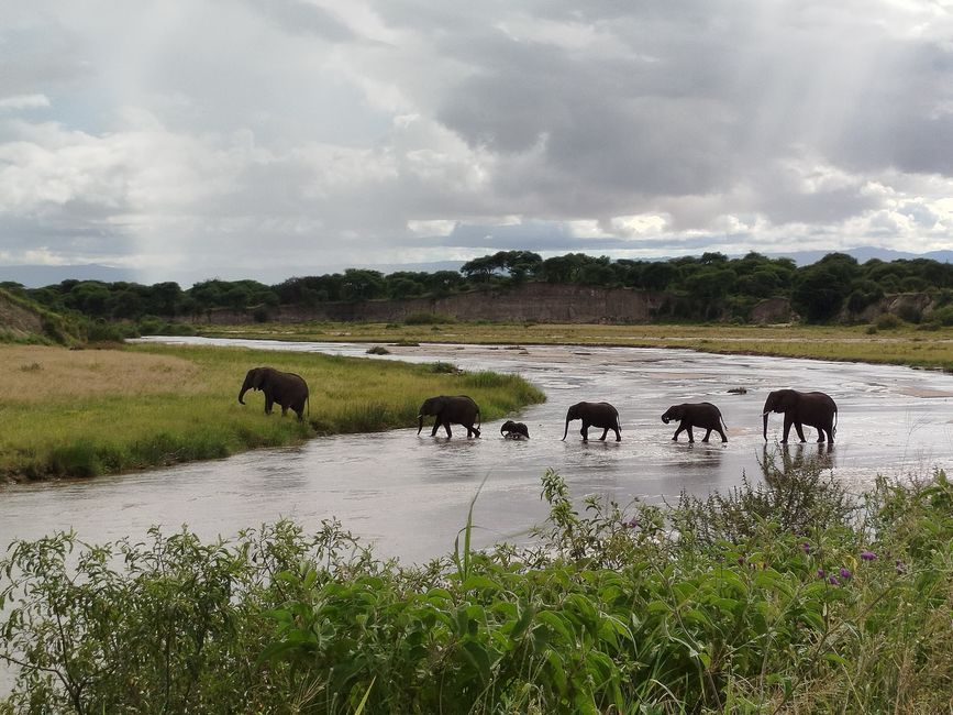 Viaggio da sogno in Tanzania