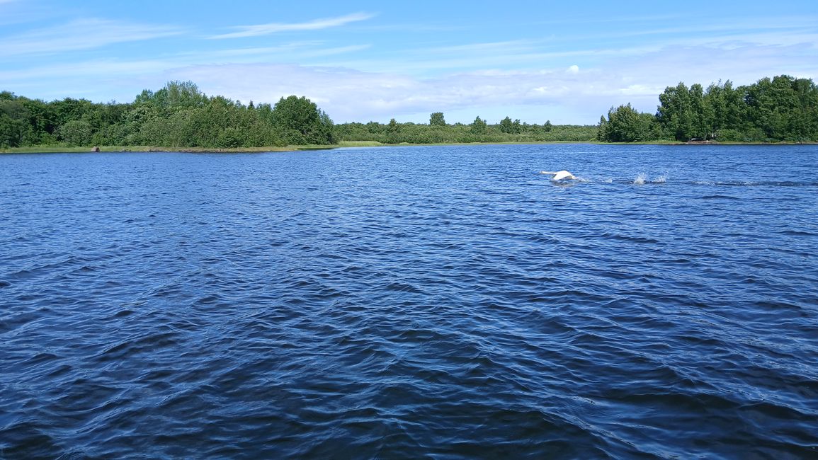 Tag 29 Wieder in Raahe