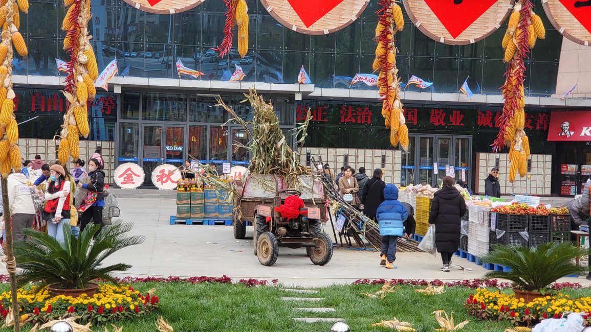 farmers' market