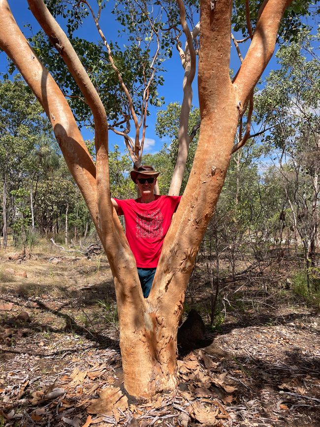 I love these trees, they feel so good!