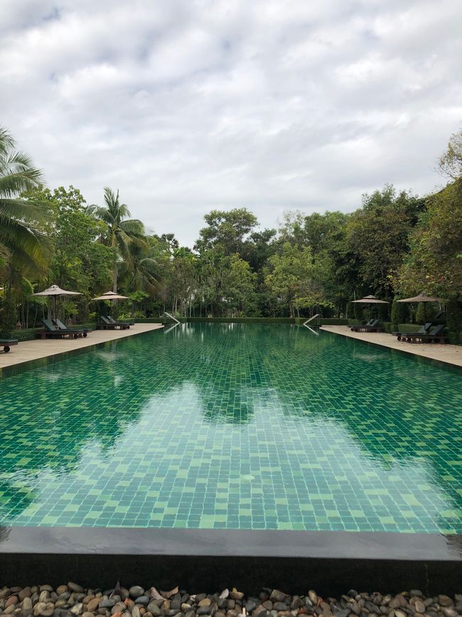 我们酒店的25米游泳池