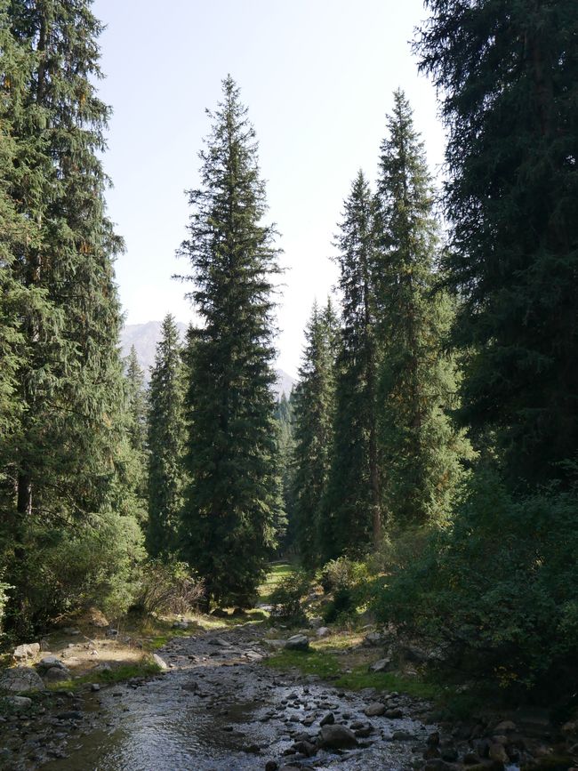 Passeggiare e gustare a Karakol