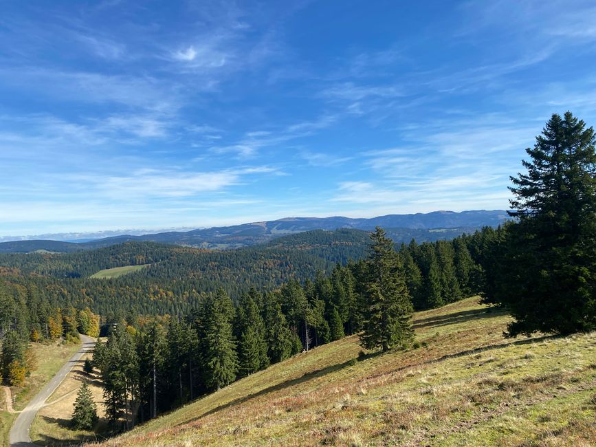 Fast am Belchengipfel angekommen