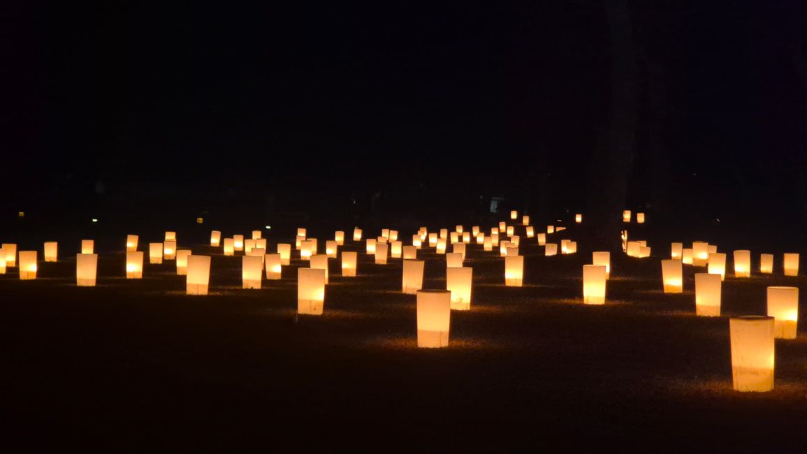 Nara Tokae Stadtfest