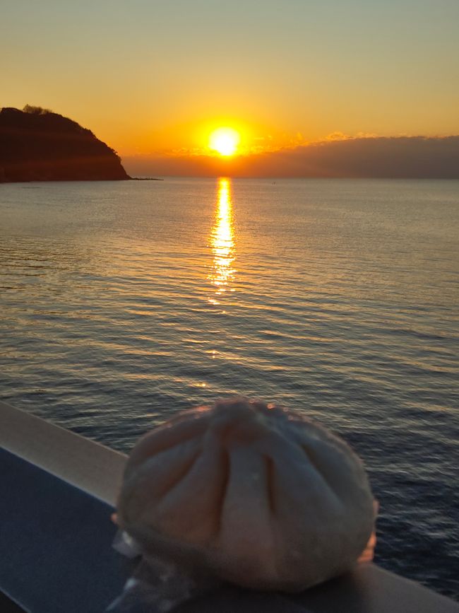 Porkbun im Sonnenuntergang