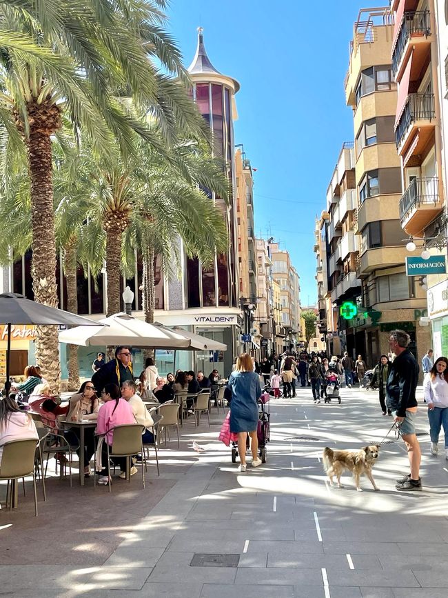 Full of anticipation, we plunged into the hustle and bustle of the city of Elche.