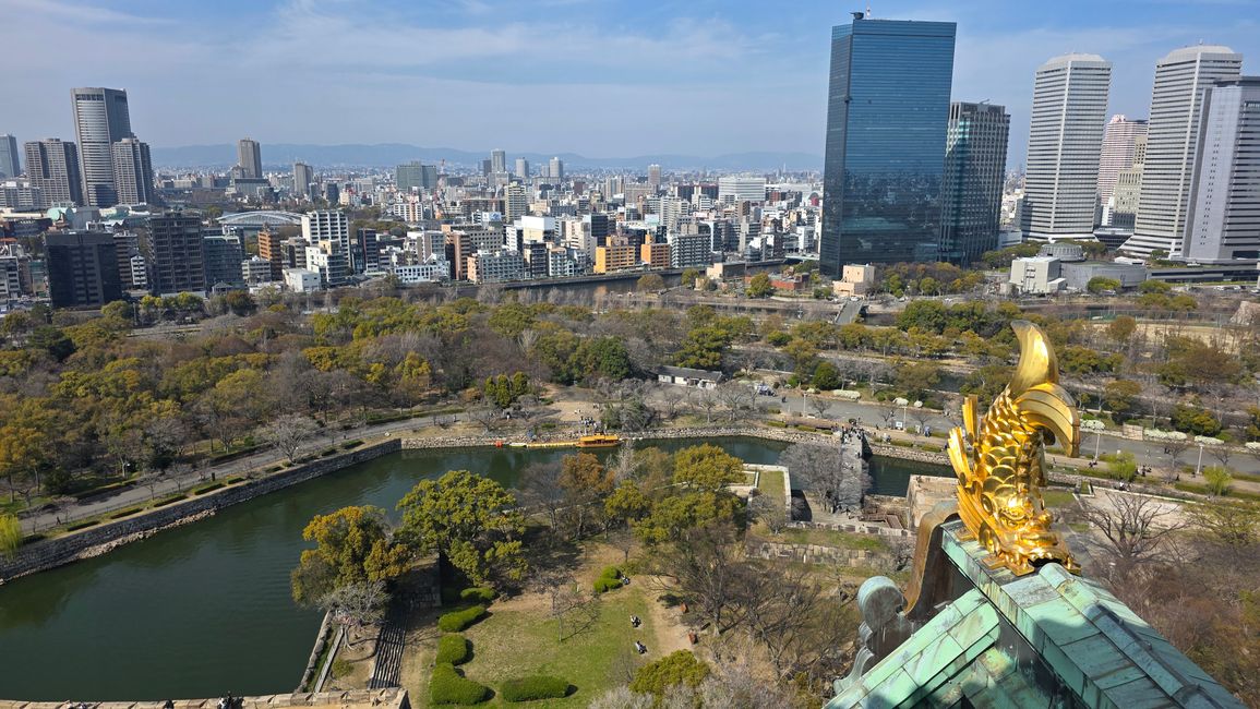Osaka 'kuidaore' ➡️ mangiare fino a cadere