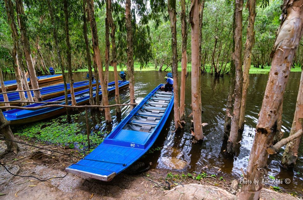 Tra-Su-Wald, Boote