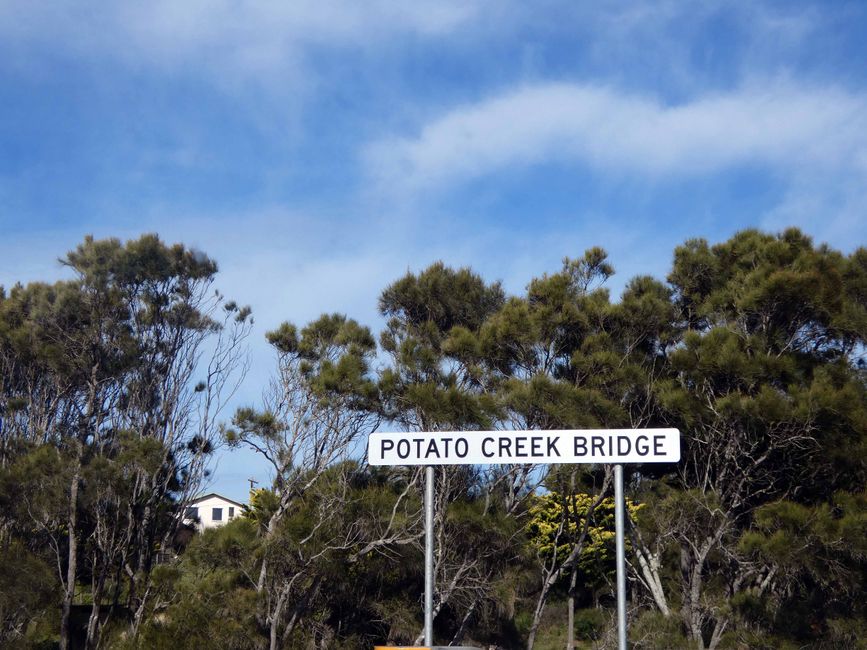 Potato Creek in Potato Point