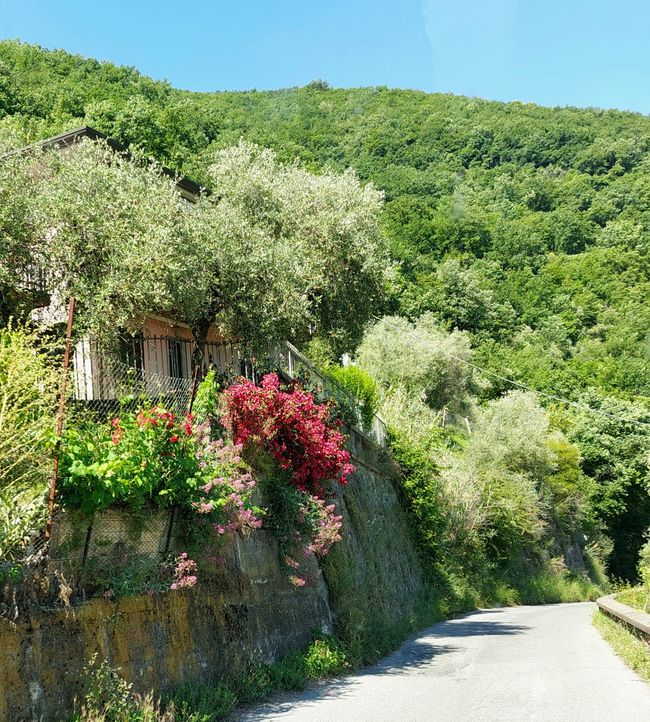 Tour della Toscana 2026