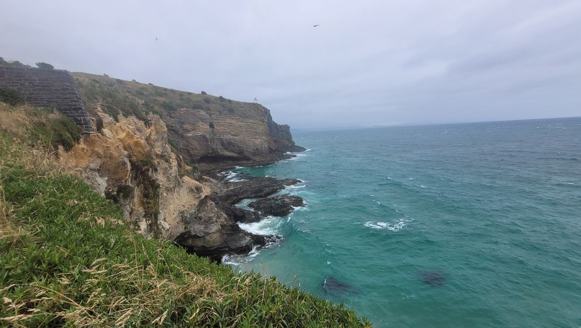 29.Januar -27.Februar 2025 Neuseeland
7.Februar