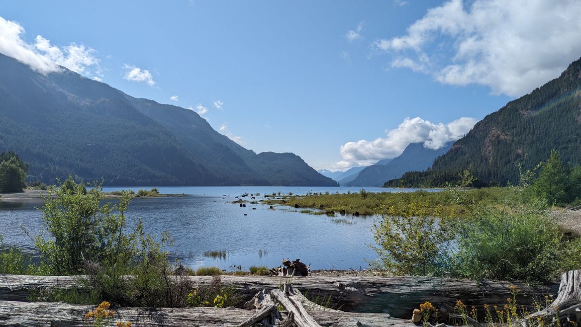 Buttle Lake Beach Trail