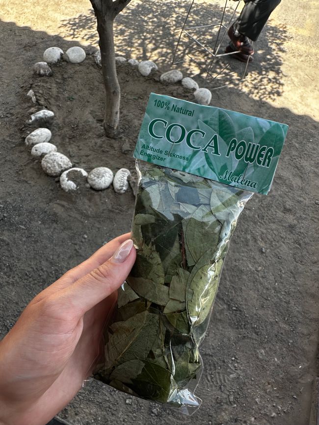 Coca leaves in preparation for the upcoming altitude 