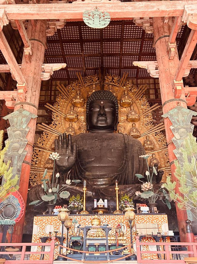 Nara - Tag 10