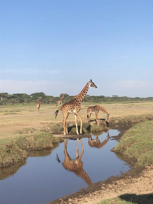 Viaggio da sogno in Tanzania