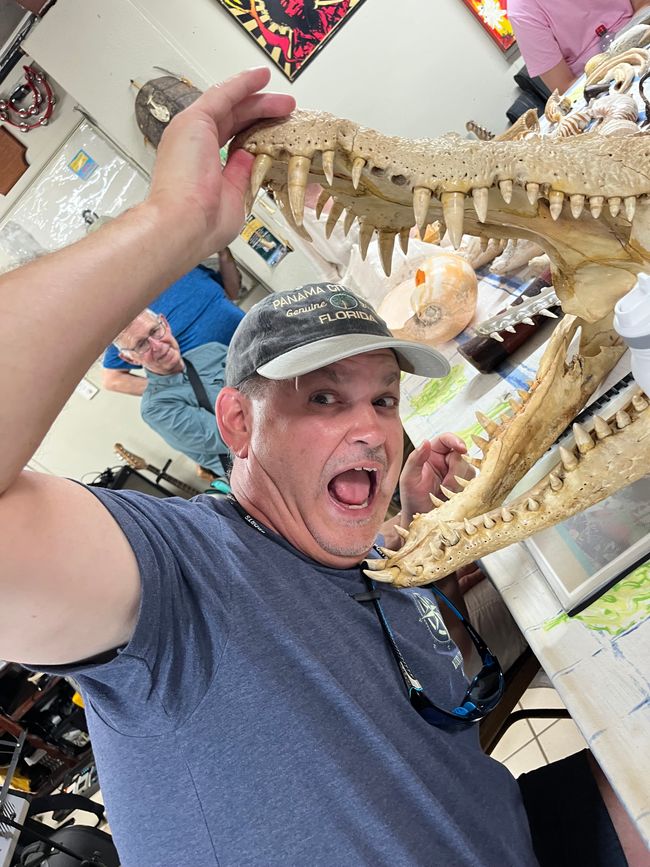 Région Crocodile 🐊