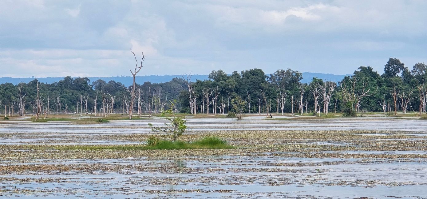 Alles kommt anders... - oder: Die Tempelanlagen von Angkor