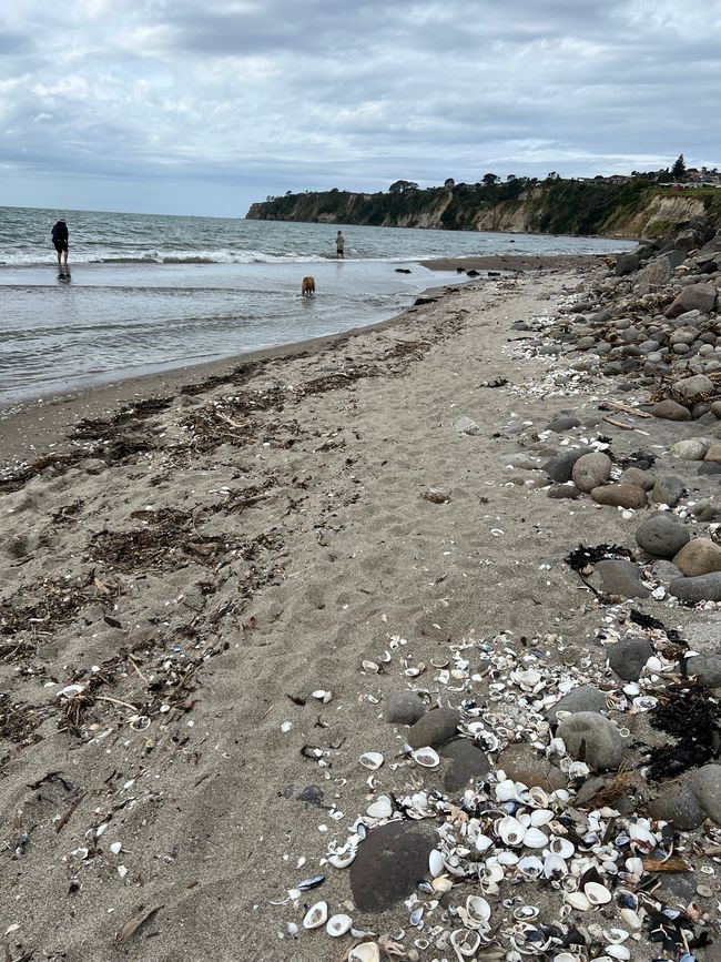 Playa de Maketu 