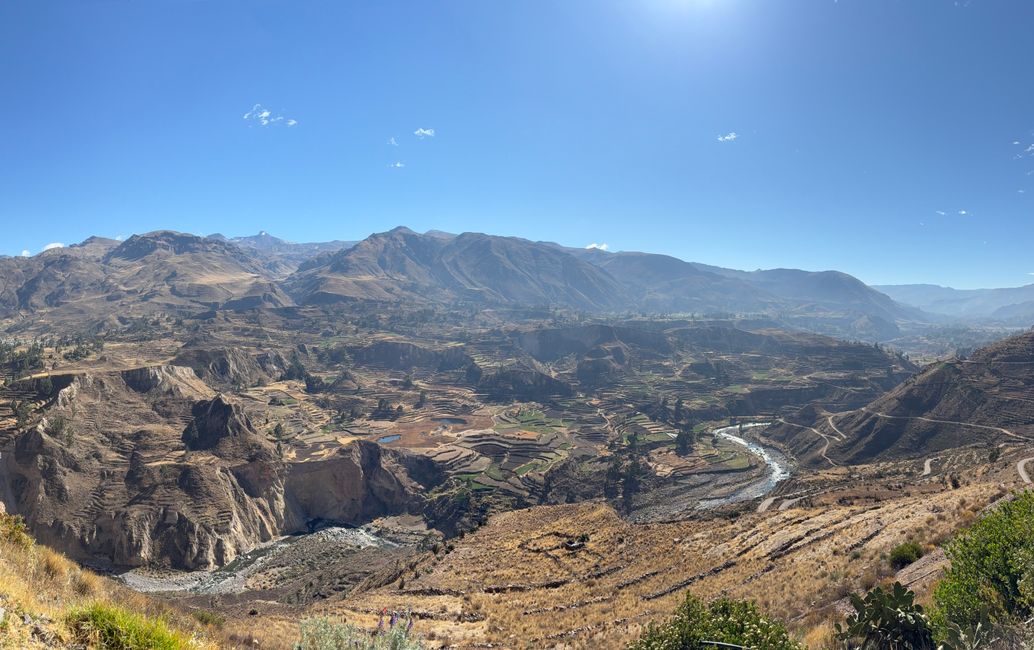 Arequipa 🦙