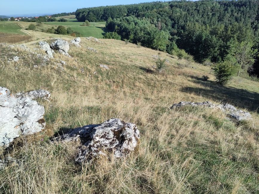 Trockene Albflächen (hier bei Görau)