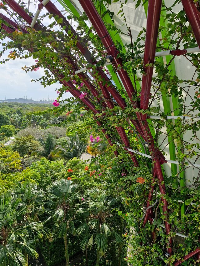 Gardens by the Bay