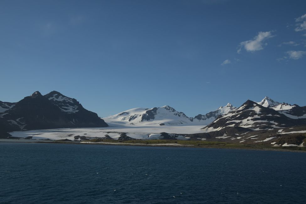 Südgeorgien / South Georgia
