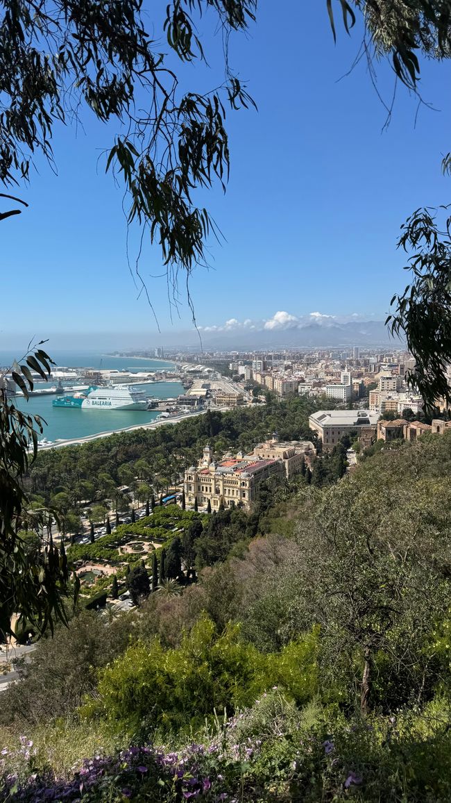 Vordergrund Rathaus von Malaga 