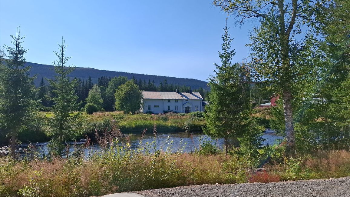 Parc national de Fulufjellet - Safari d'élans