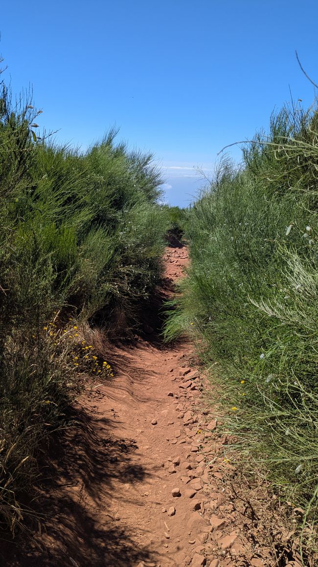 der Weg zum Parkplatz