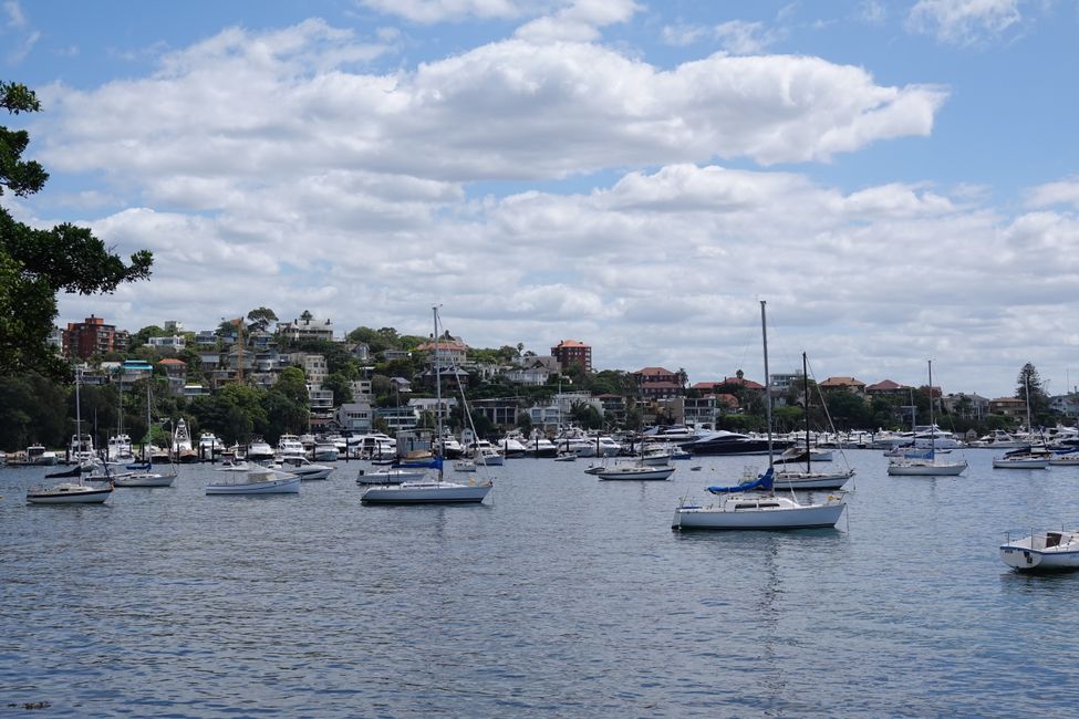 Rose Bay