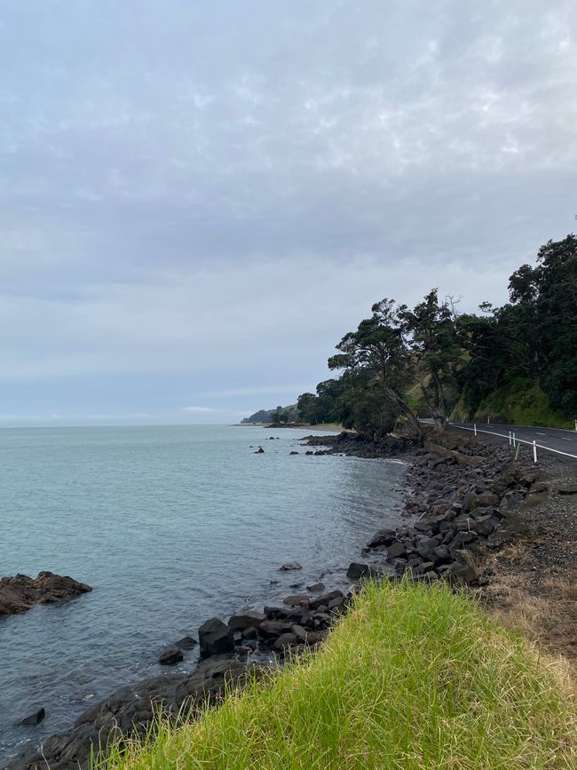 Coromandel loop