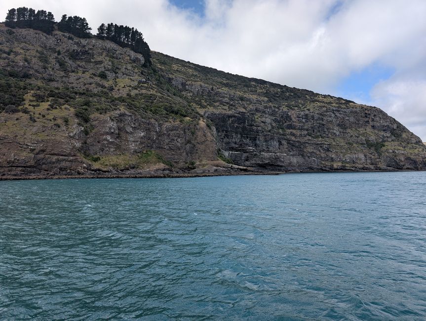 Akaroa