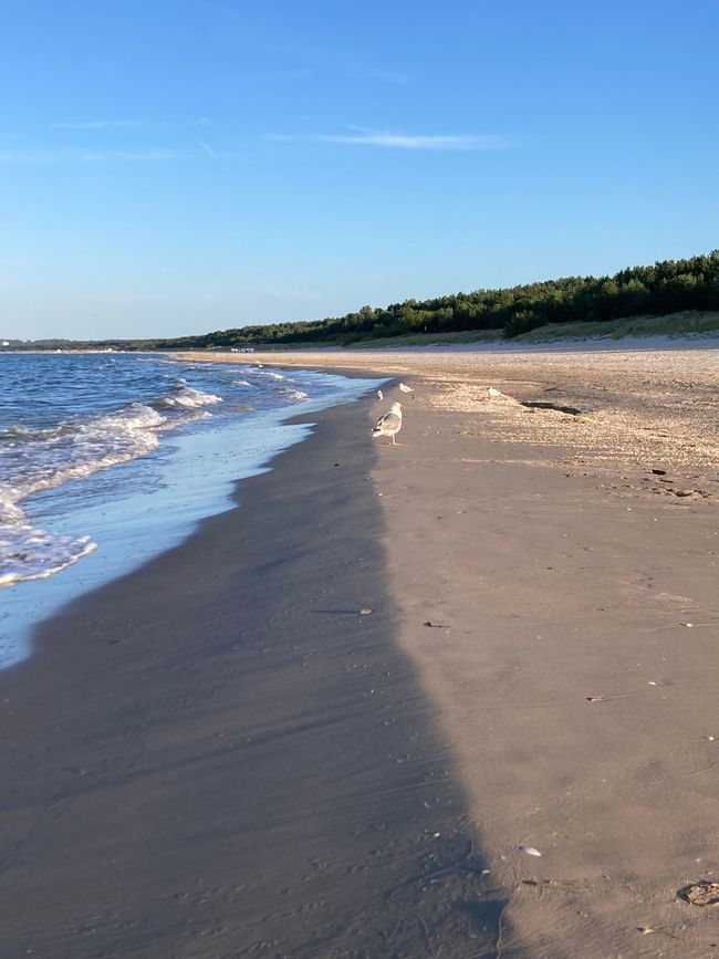 Friede, Freude, Eierkuchen … Karlshagen Usedom