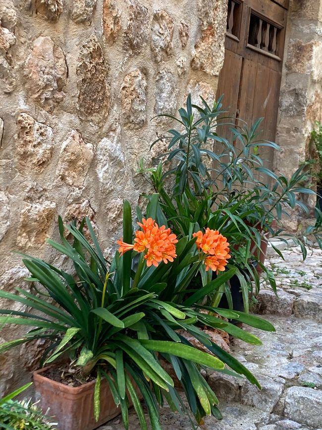 Fornalutx… heißt übersetzt, bestimmt- „steile Treppen“