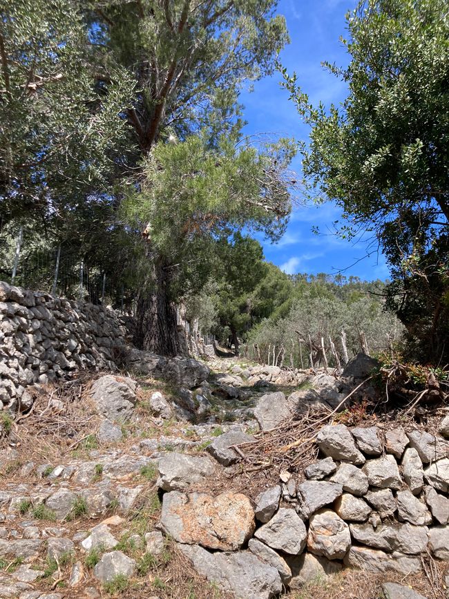 Fornalutx… heißt übersetzt, bestimmt- „steile Treppen“