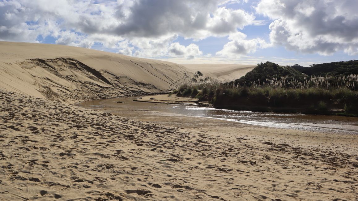 Te Paki Giant Sand Dunes