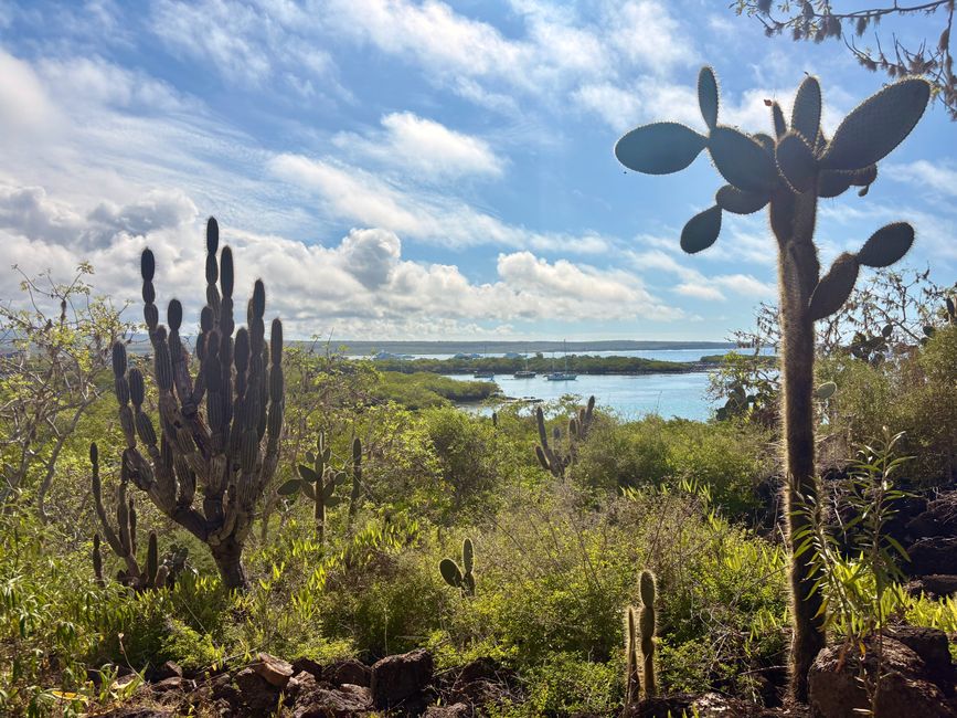 Santa Cruz (Galápagos)