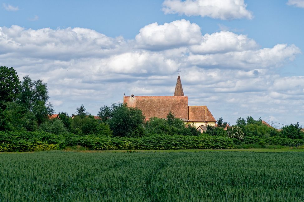 Elsass