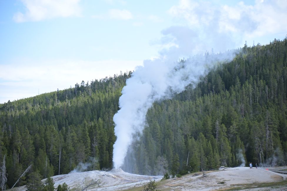 Bassin supérieur des geysers - Vue vers la colline des geysers - Éruption dans le groupe Lions